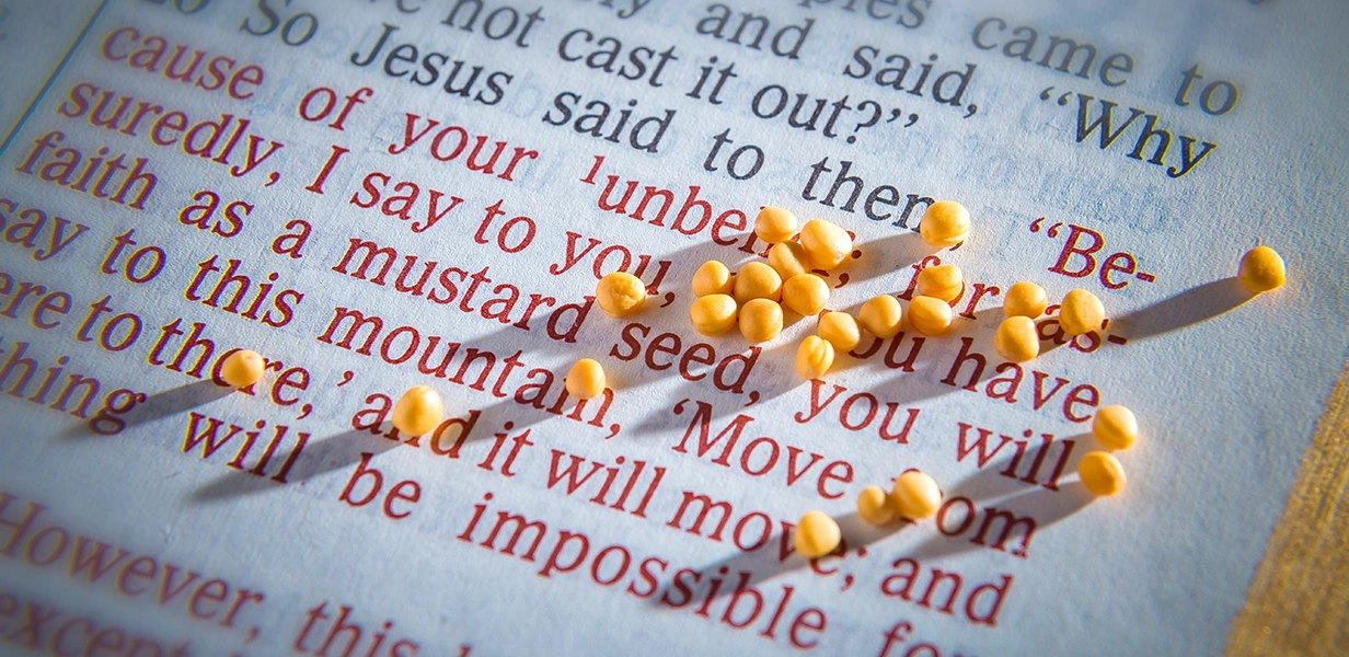 mustard seed faith