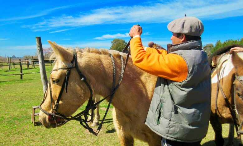 pay to work with animals