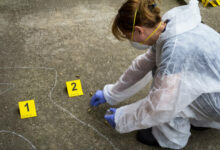 Forensic degree jobs