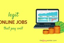 high paying online job