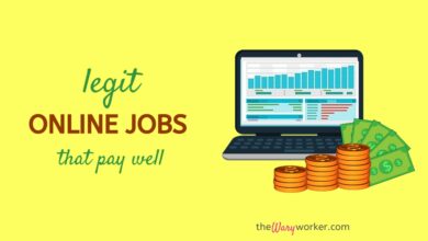 high paying online job