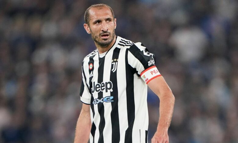 Giorgio Chiellini Net Worth, Biography, Goals, Highlights, and Stats