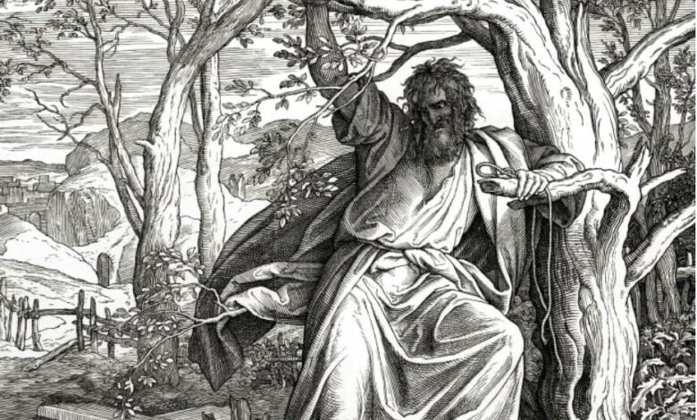 How did Judas die in the Bible