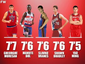 Tallest NBA Players in the World