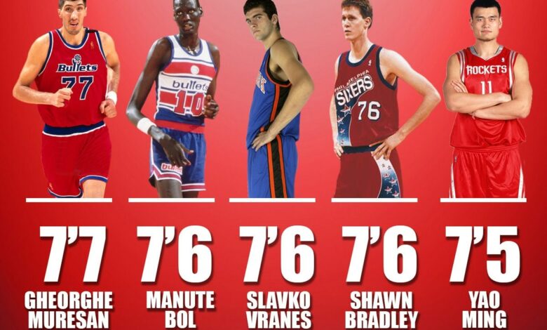 Tallest NBA Players in the World