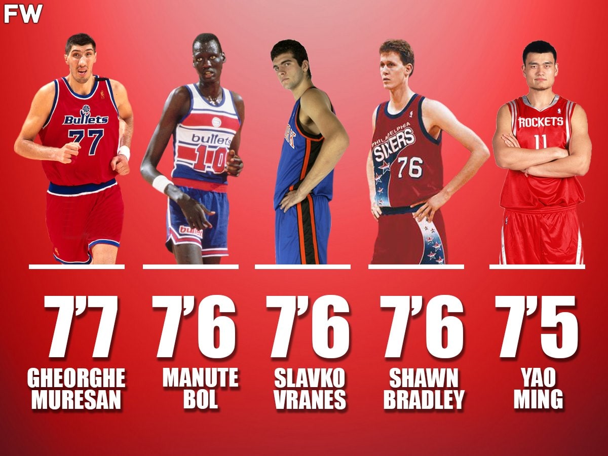 Top 10 Tallest NBA Players in the World | DailyGam