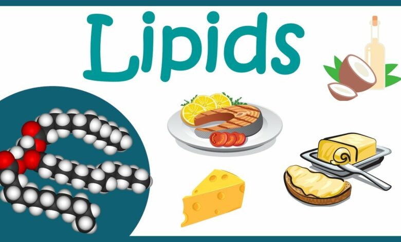 What is Lipids